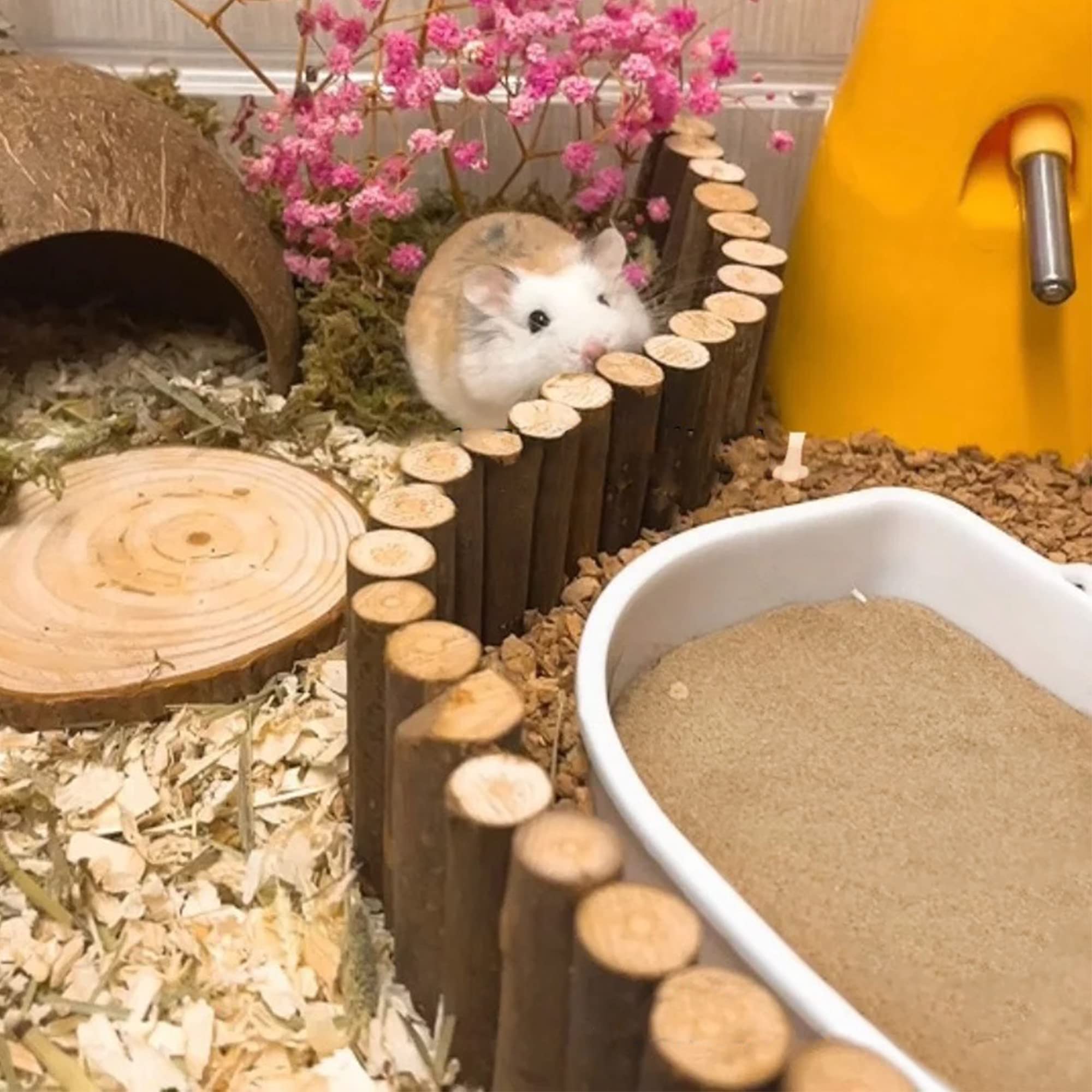 DR.DUDU granulométrie du sable en gros plan, souligne absorption efficace