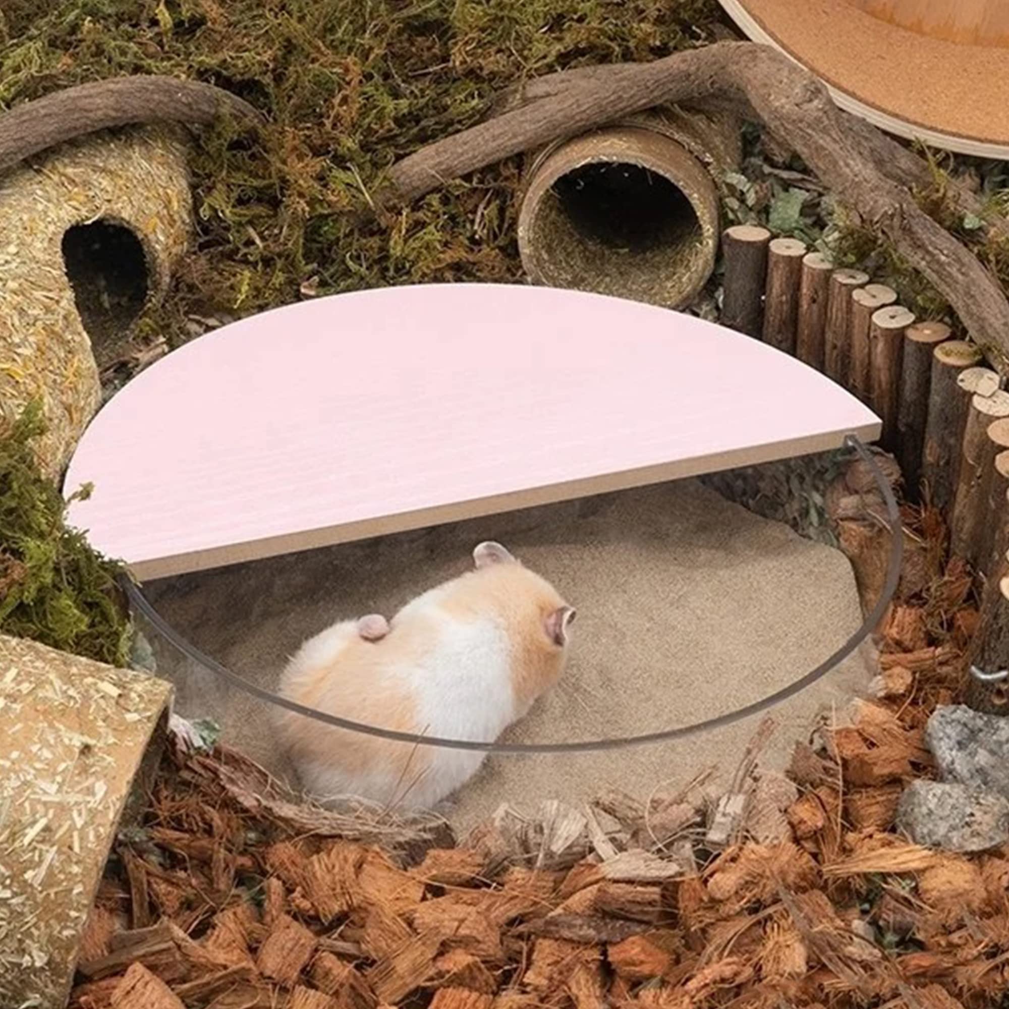 DR.DUDU cage propre avec hamster qui se repose, démontre confort et hygiène