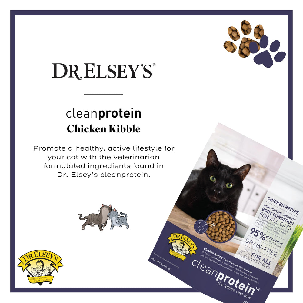 Dr. Elsey's croquettes dans un bol, portion idéale pour l'énergie