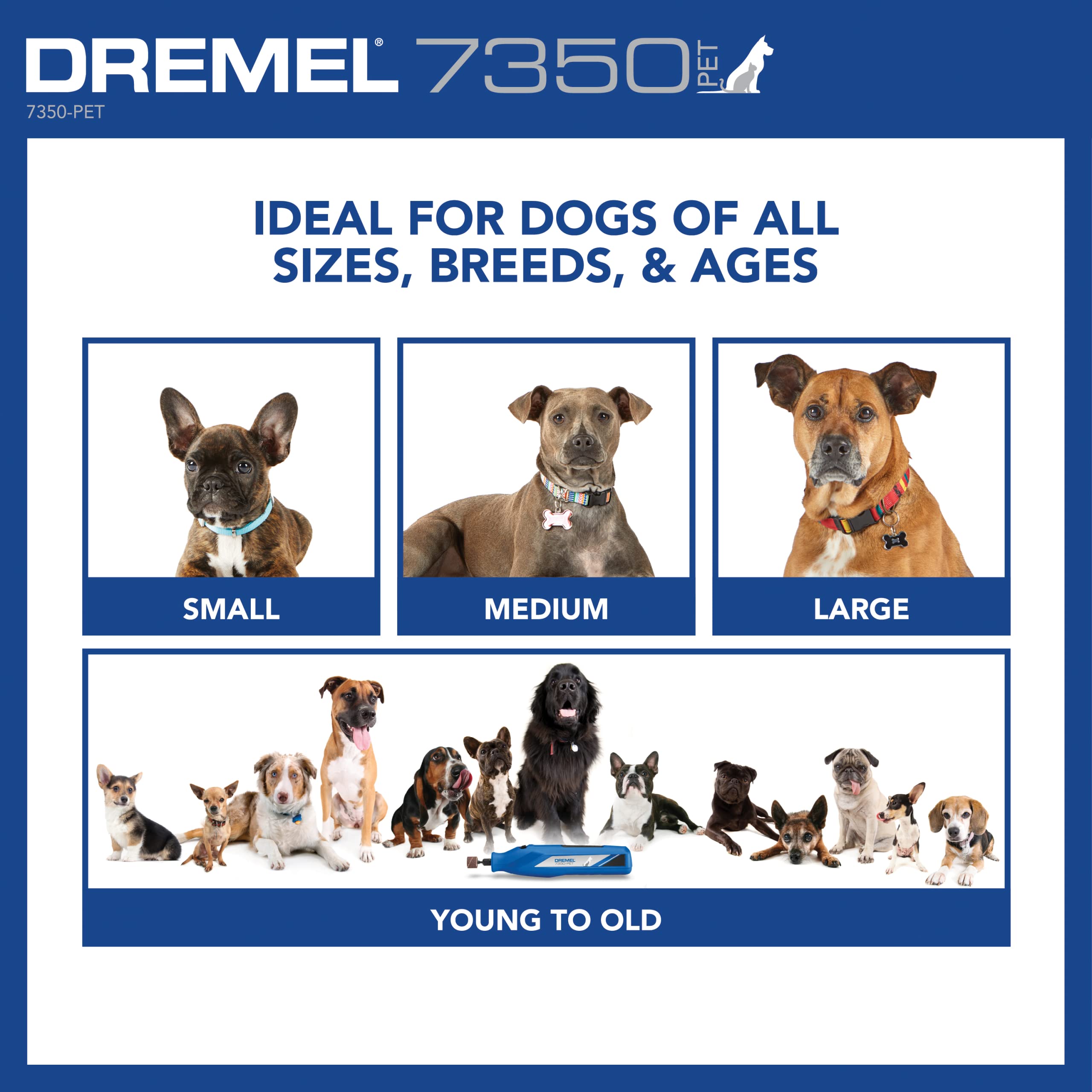 Dremel 7350-PET ensemble d'accessoires inclus prêt à l'emploi