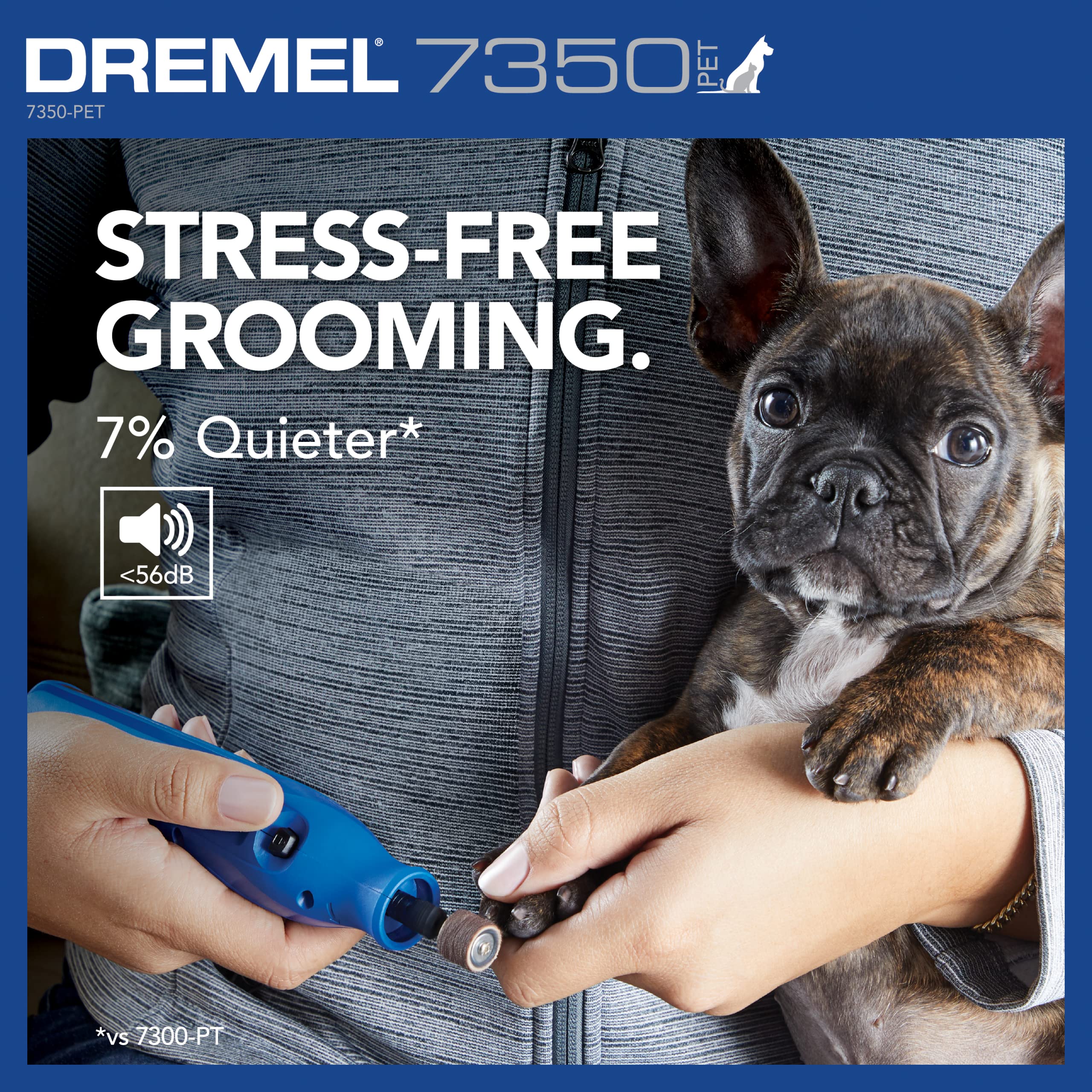 Dremel 7350-PET gros plan sur bande abrasive pour limage précis