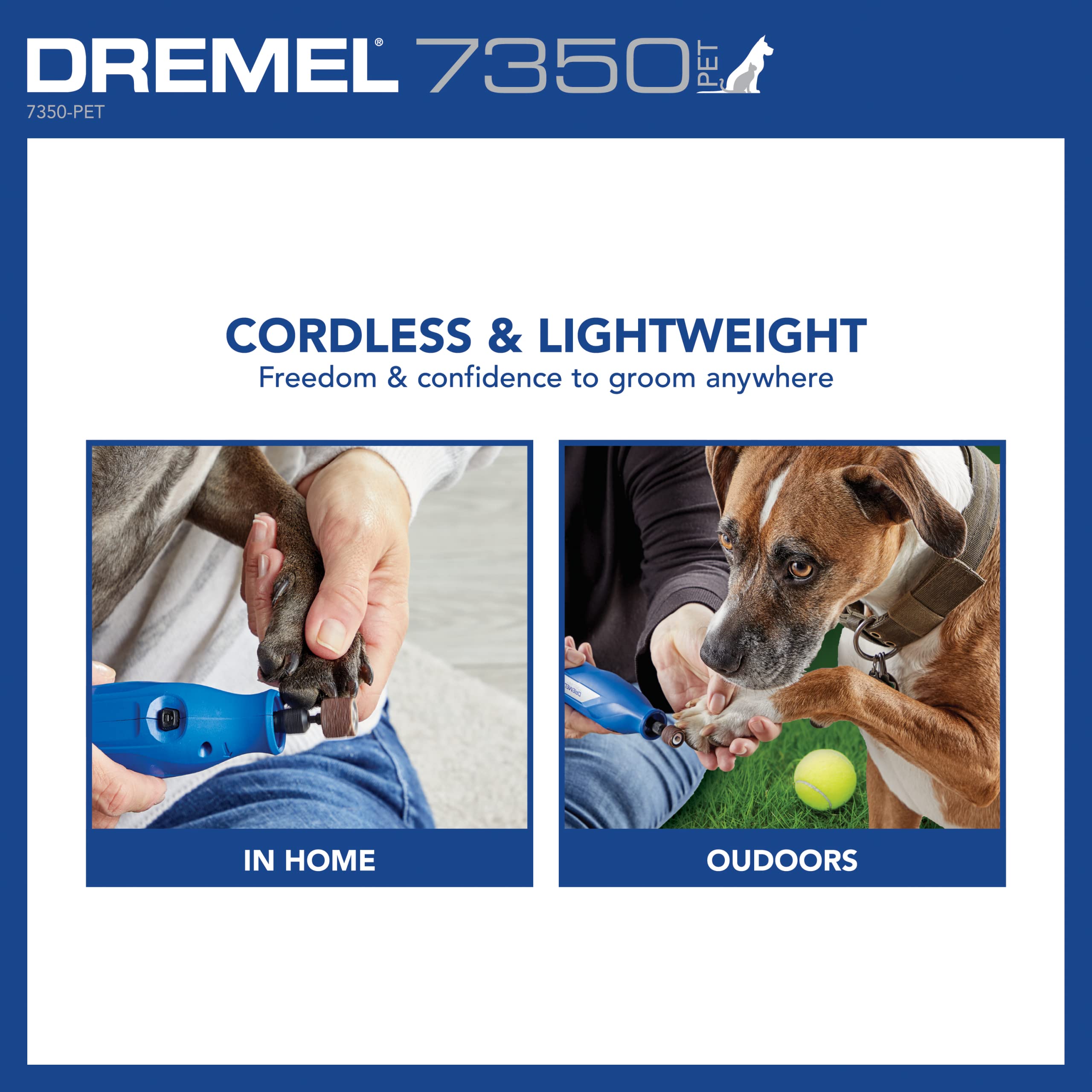 Dremel 7350-PET utilisé sur un chien, réduction du stress pendant la séance