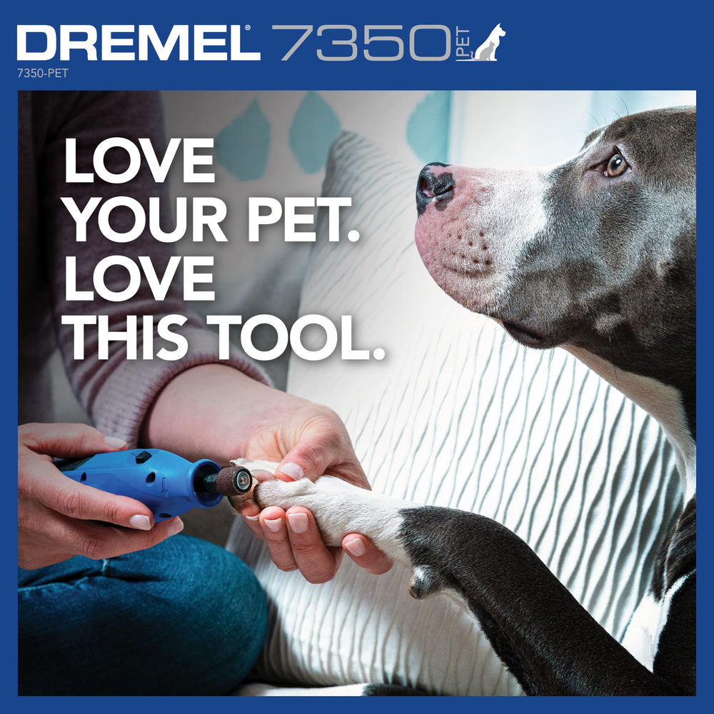 Indicateur LED du Dremel 7350-PET montrant l'état de charge facile à lire