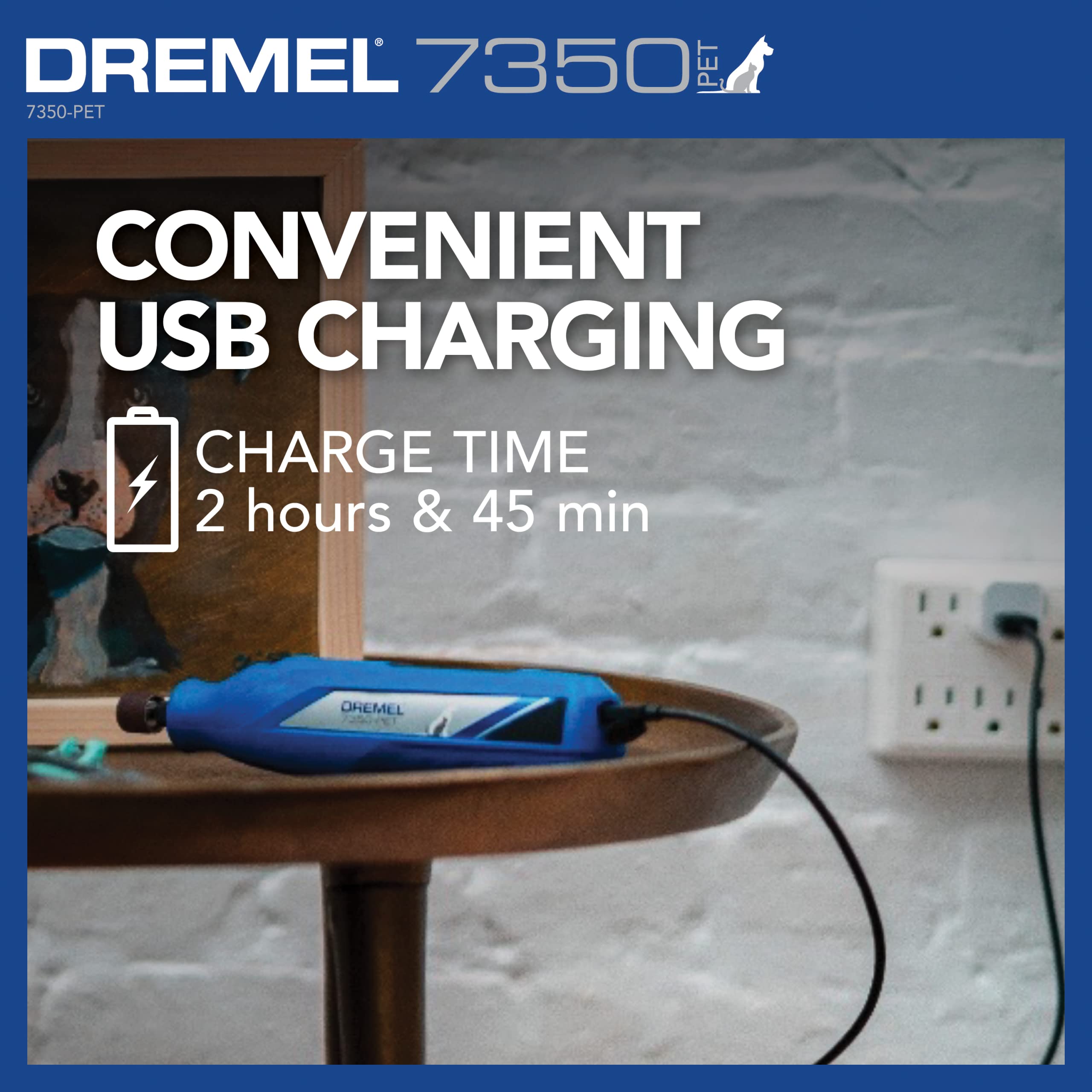 Personne tenant le Dremel 7350-PET pour meilleur contrôle lors du toilettage