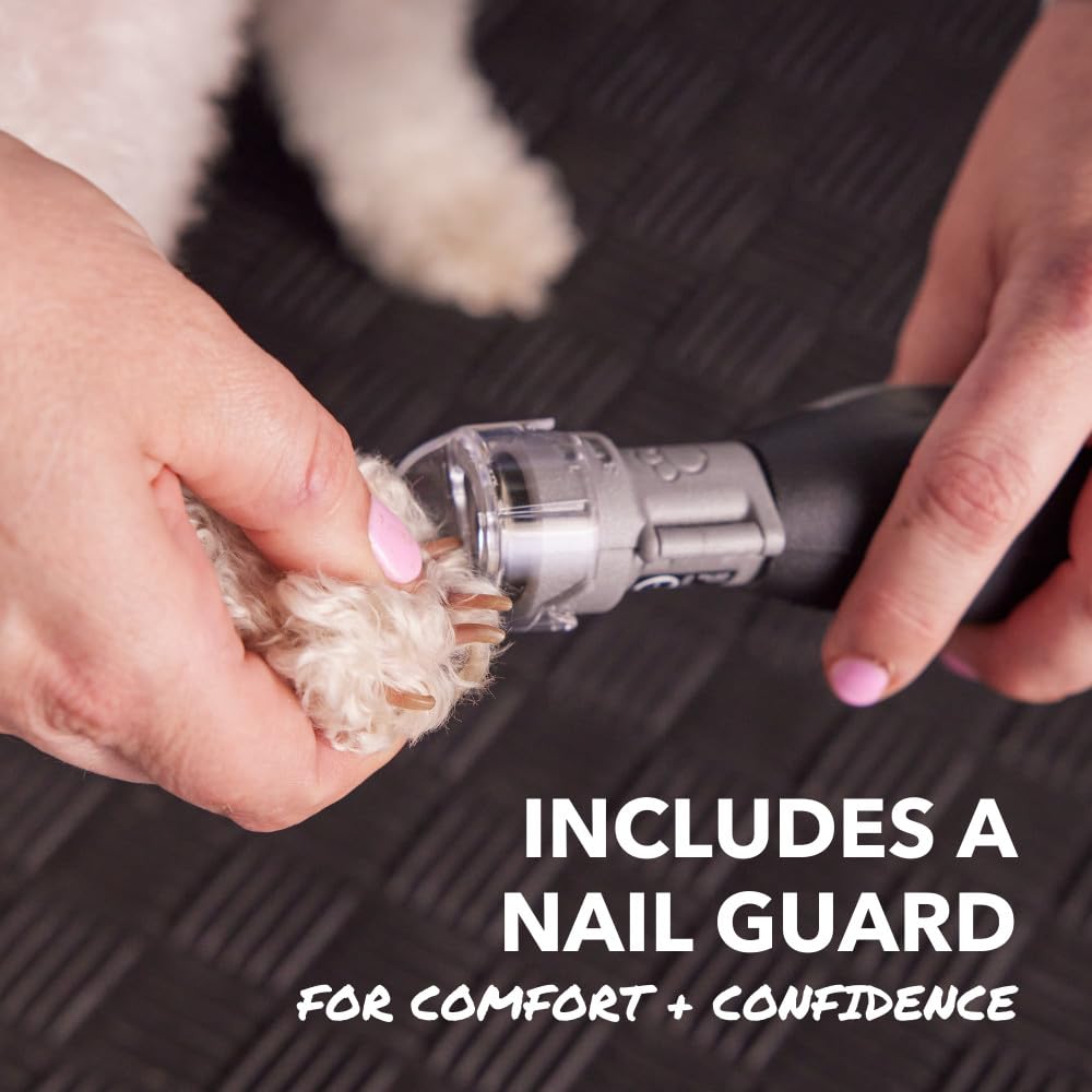 Dremel PawControl comparaison de taille pour visualiser l'outil portable