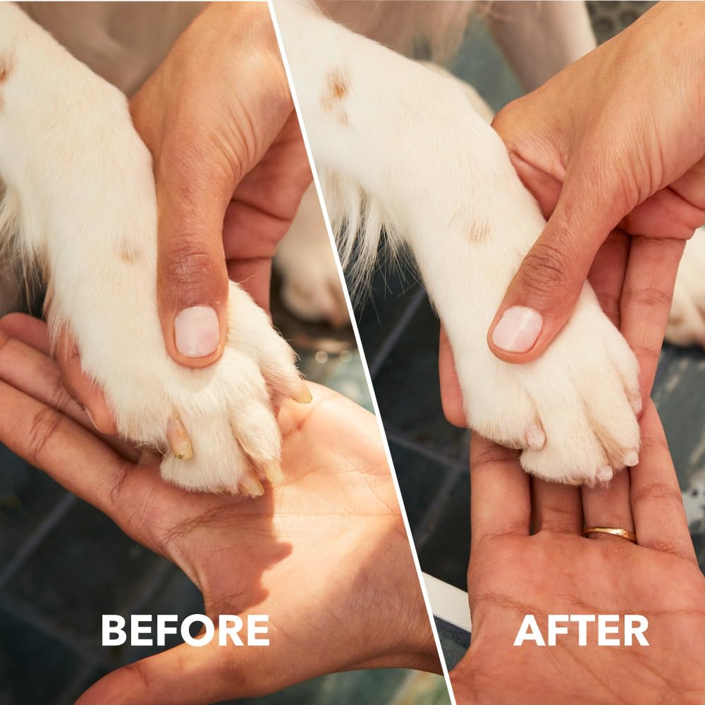 Dremel PawControl utilisé sur un chien pour un entretien doux et contrôlé