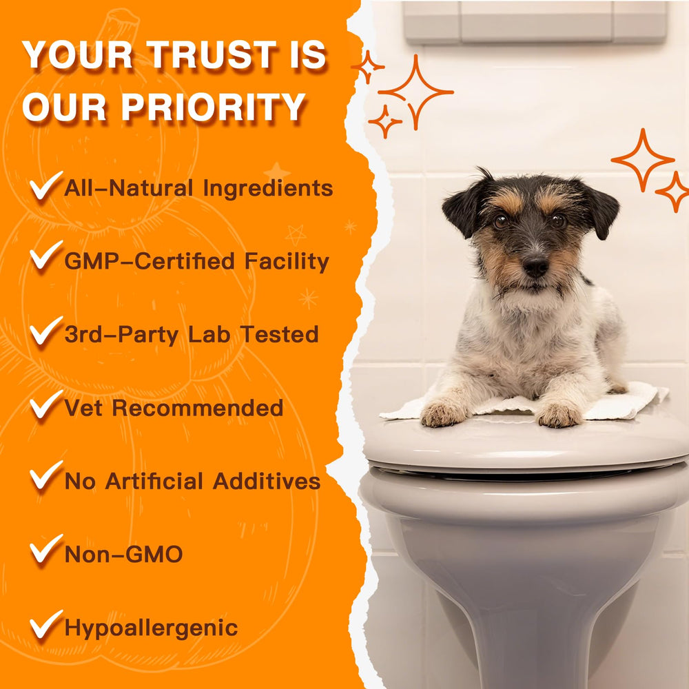 DRFOSTER bol pour chien montrant consistance des selles améliorée, confort
