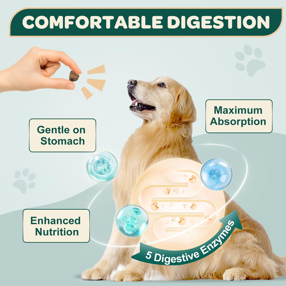 DRFOSTER friandises à côté d’un chien illustrant échelle et portion