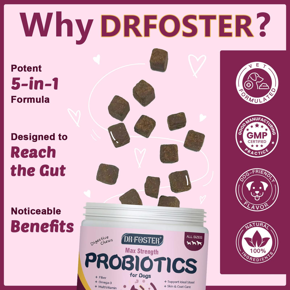 DRFOSTER étiquette zoom sur ingrédients, transparence et informations nutritionnelles