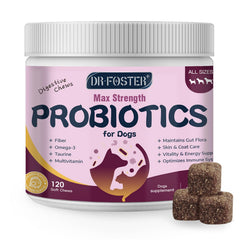 DRFOSTER paquet avant montrant probiotiques et bénéfice santé digestive
