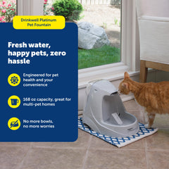Drinkwell PetSafe réservoir ouvert facilitant les recharges et entretien