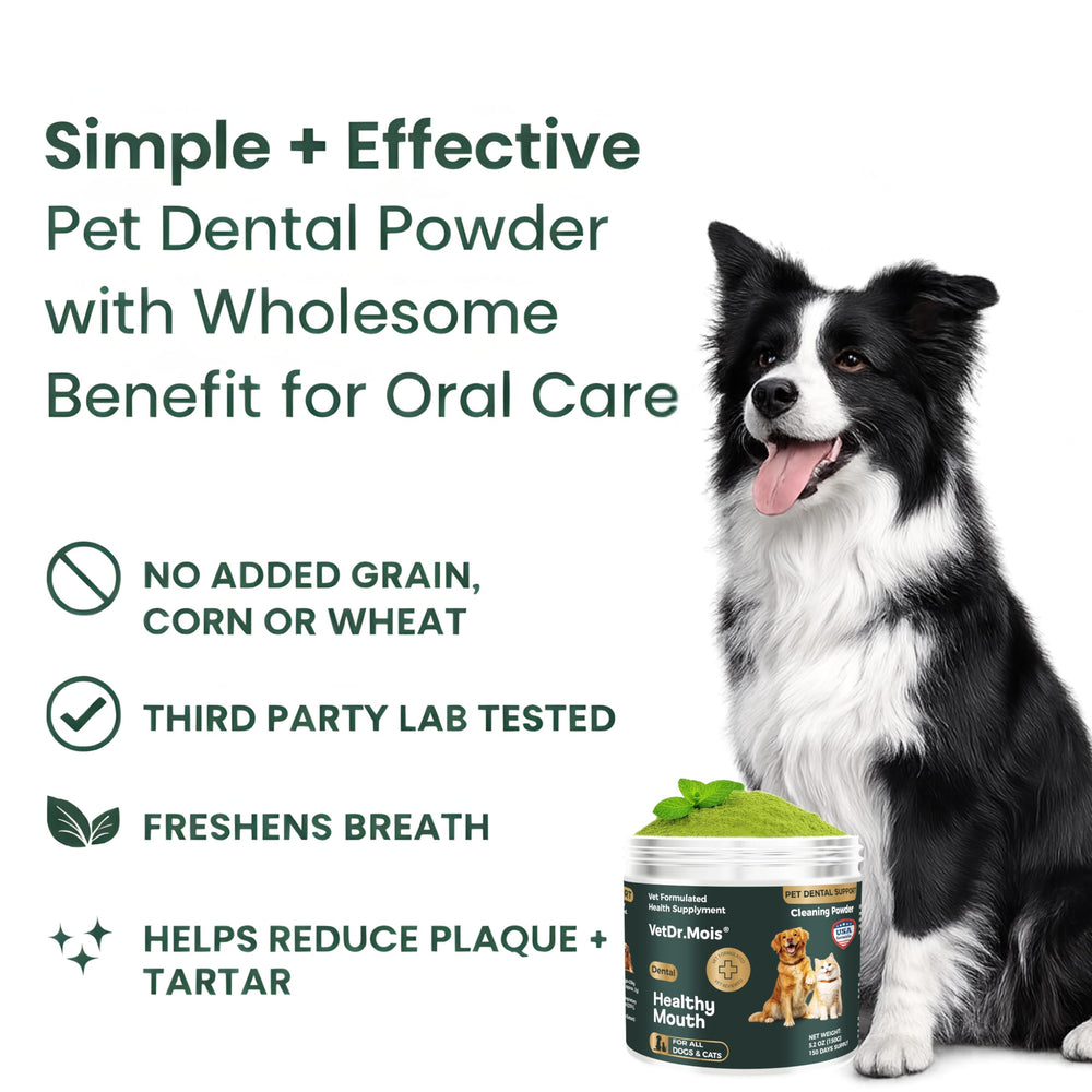 DRMOIS chien et chat mangeant ensemble en intérieur montrant usage partagé bénéfice adapté aux deux espèces