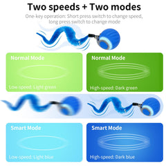 Drrntr trois queues interchangeables offrant variété de stimuli visuels tactiles
