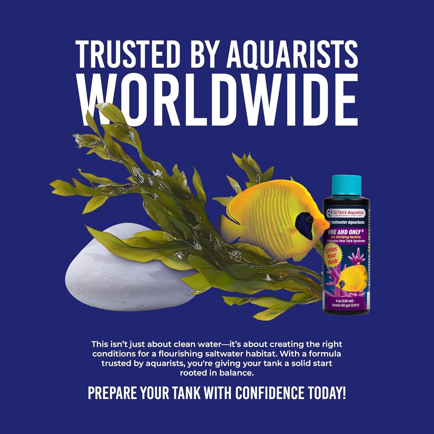 Produit DrTim's Aquatics en cours d'ajout dans un aquarium pour accélérer la nitrification