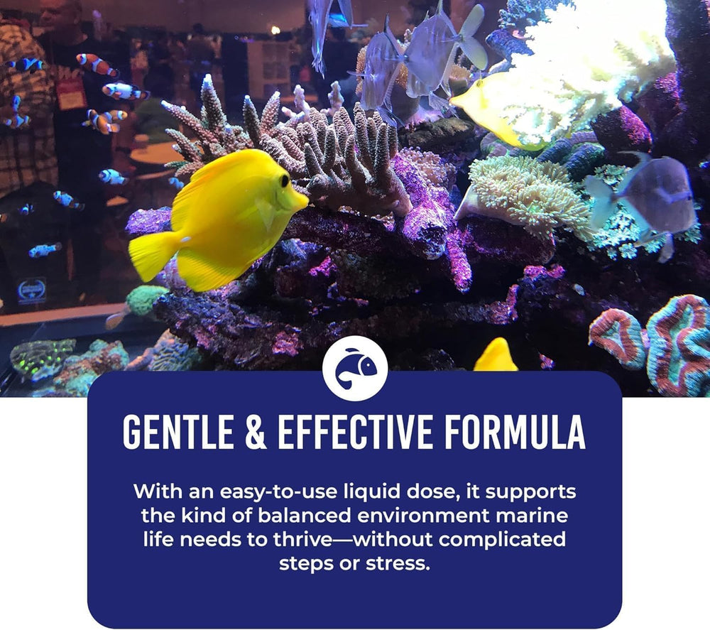 Application du produit dans aquarium marin, DrTim's Aquatics pour stabiliser eau