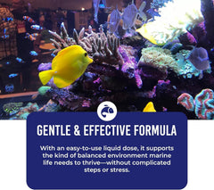 Application du produit dans aquarium marin, DrTim's Aquatics pour stabiliser eau