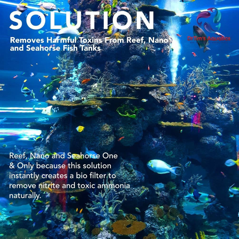 DrTim's Aquatics application dans aquarium démontrant meilleure qualité d'eau