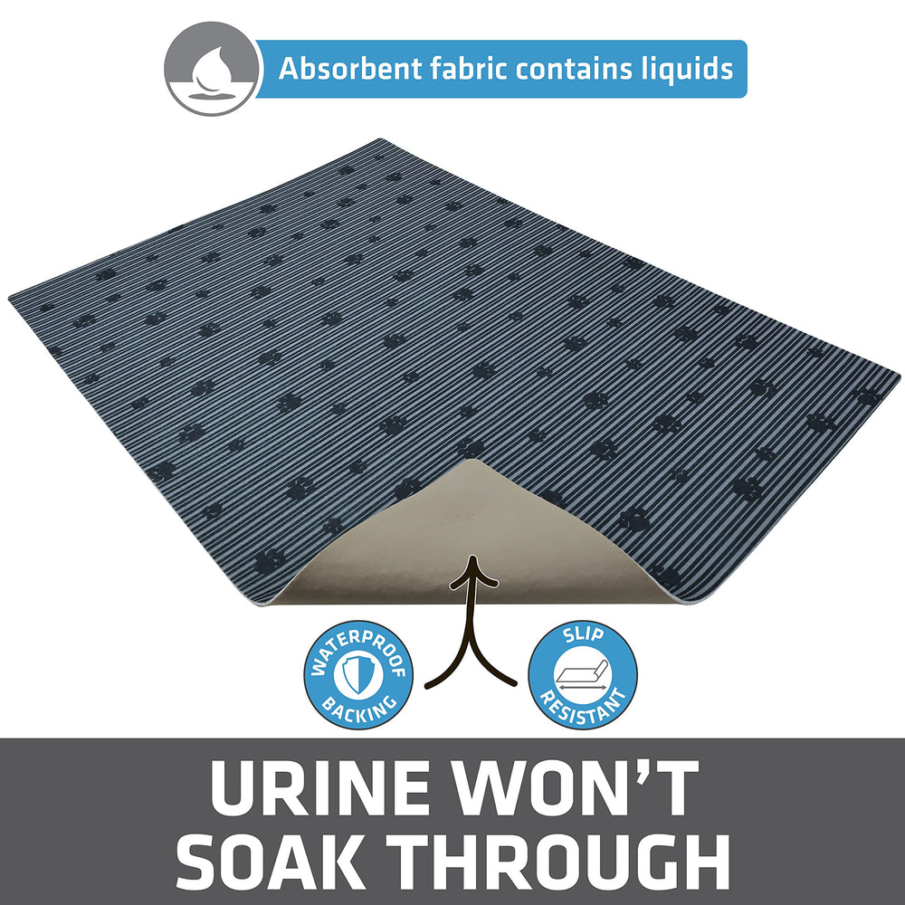 Drymate chat sortant du bac sur tapis montrant réduction des traces
