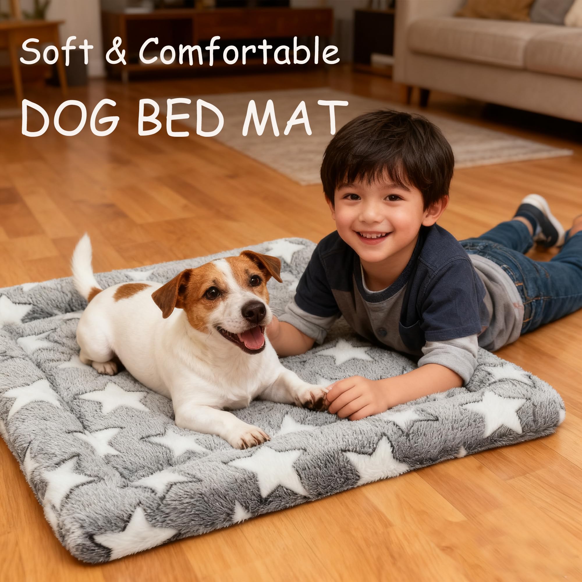 DTKIUSDKR petit chien détendu couché sur le tapis, favorisant repos et bien-être