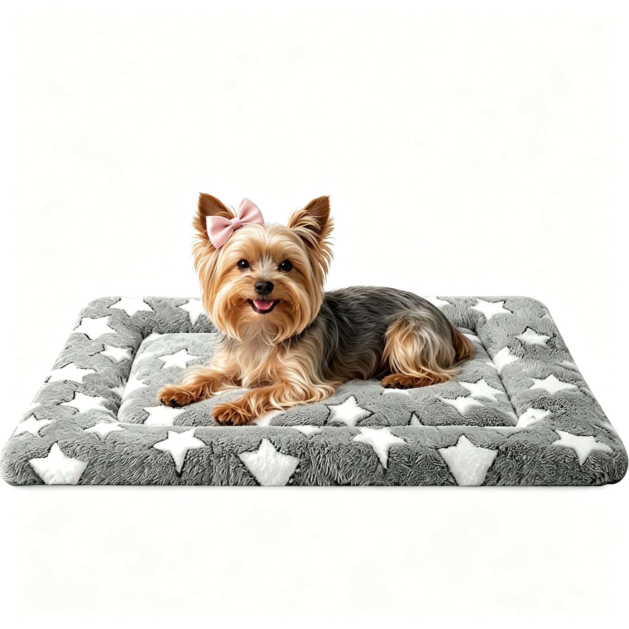DTKIUSDKR vue avant du tapis pour chien montrant l’emballage pratique et attractif