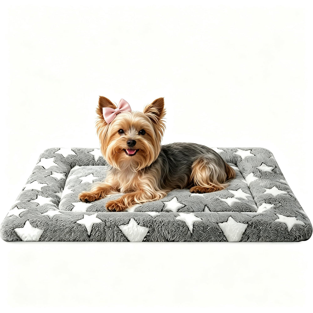 DTKIUSDKR vue avant du tapis pour chien montrant l’emballage pratique et attractif