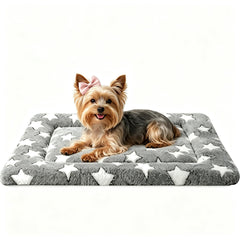 DTKIUSDKR vue avant du tapis pour chien montrant l’emballage pratique et attractif