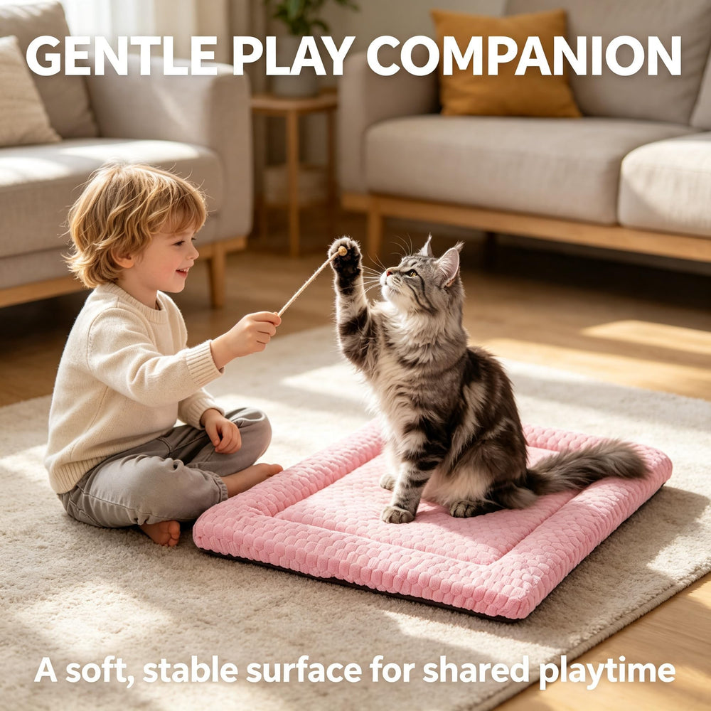 DTKIUSDKR tapis dans machine à laver indiquant nettoyage simple