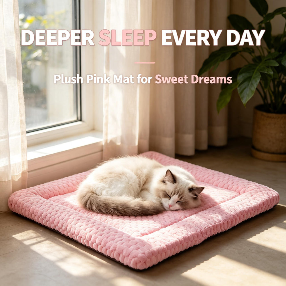 DTKIUSDKR tapis dans salon avec chat montrant usage quotidien