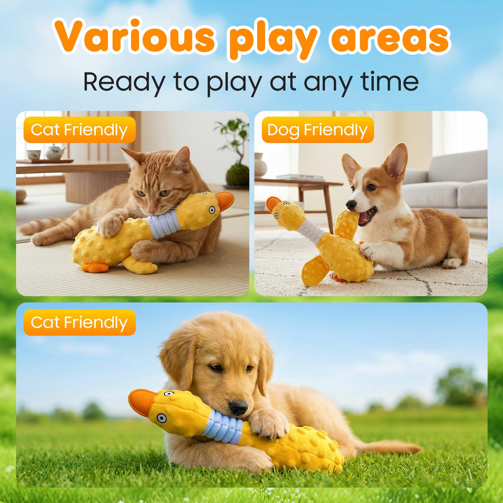 Duck Dog Squeak Toy tenu dans la gueule d'un chien, stimulation et amusement visibles