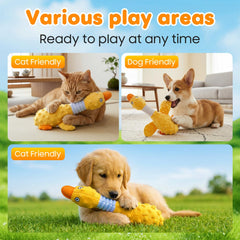 Duck Dog Squeak Toy tenu dans la gueule d'un chien, stimulation et amusement visibles