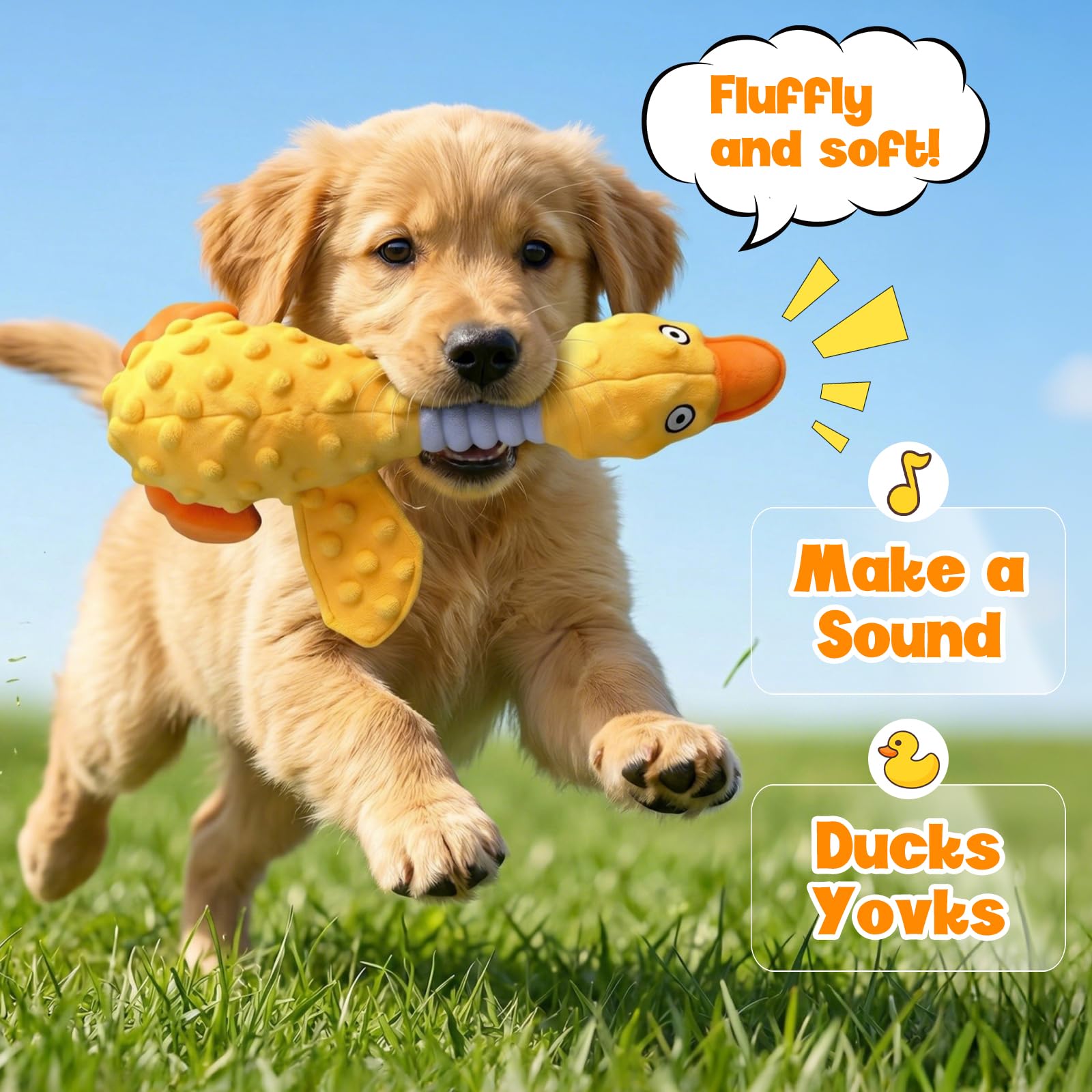 Duck Dog Squeak Toy à côté d'une main pour montrer l'échelle et choix de taille sûr