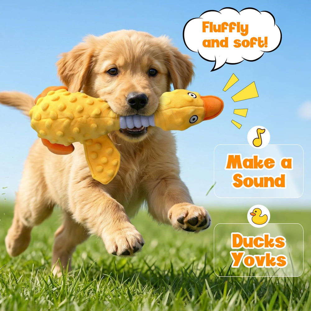 Duck Dog Squeak Toy à côté d'une main pour montrer l'échelle et choix de taille sûr