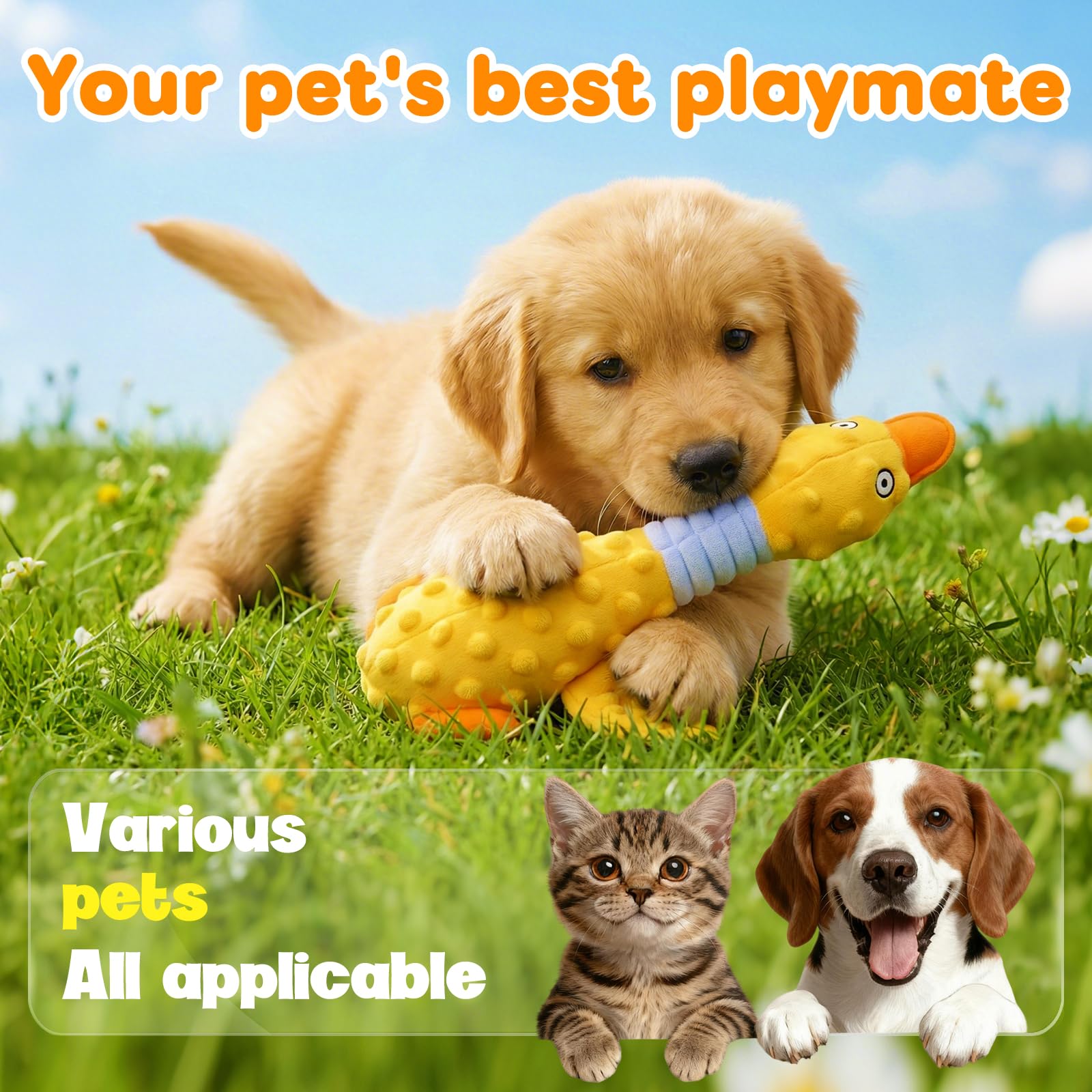 Duck Dog Squeak Toy gros plan sur la texture douce et résistante pour les gencives