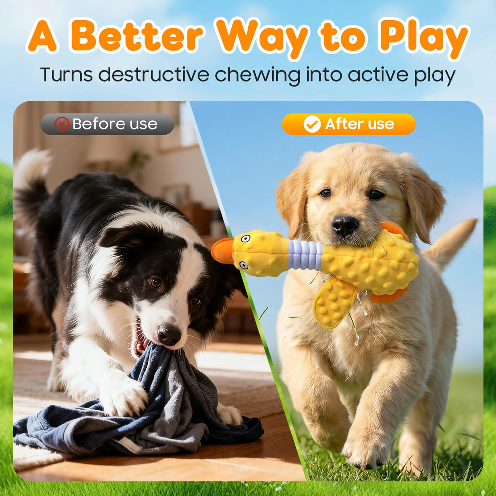 Duck Dog Squeak Toy trois tailles alignées, options pour petites à grandes races