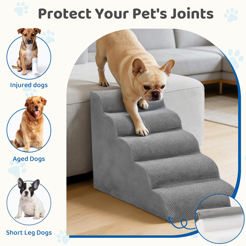 DUMOS chien montant sur lit avec sécurité et confort visibles