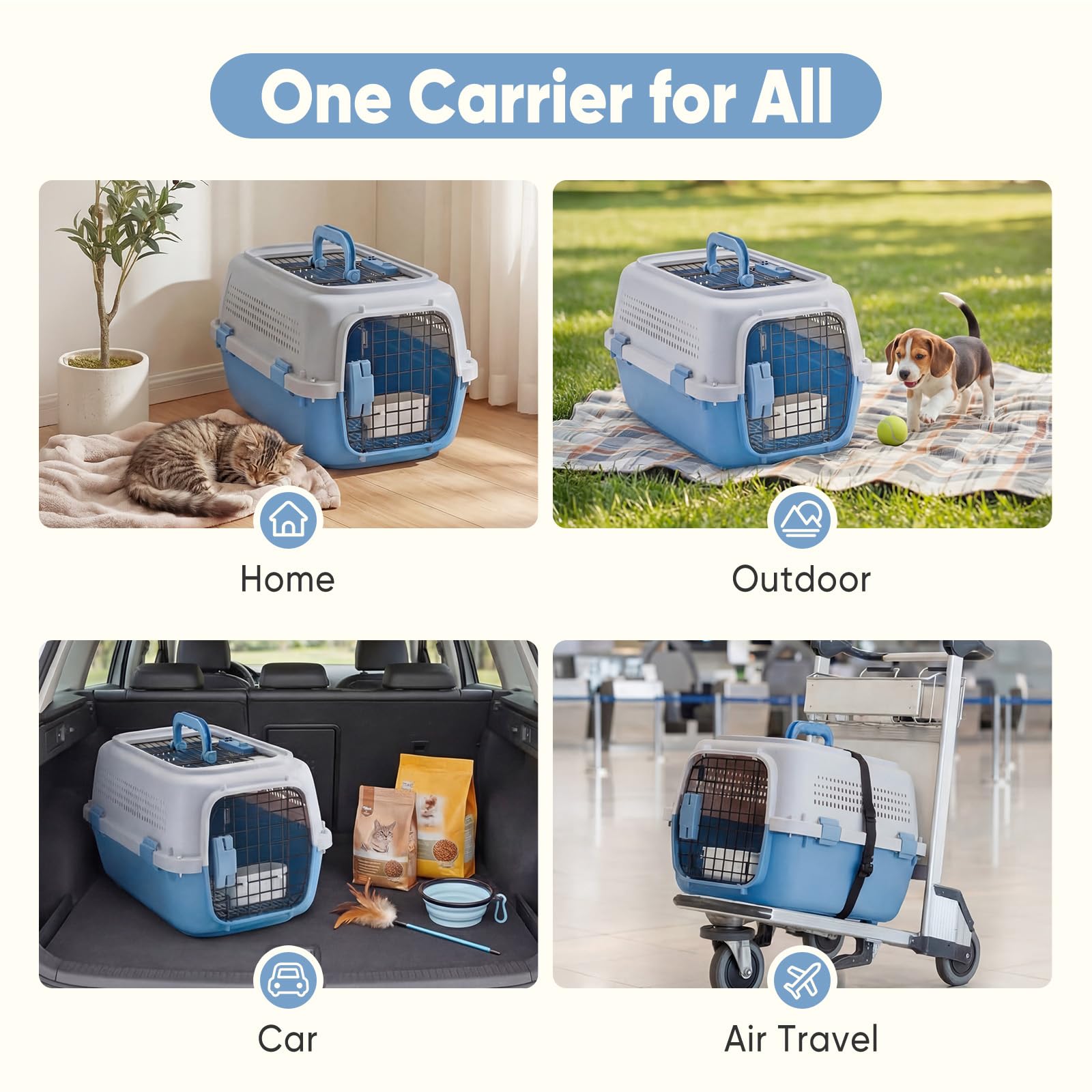 DUMOS comparaison taille avec chat pour repère de dimensions