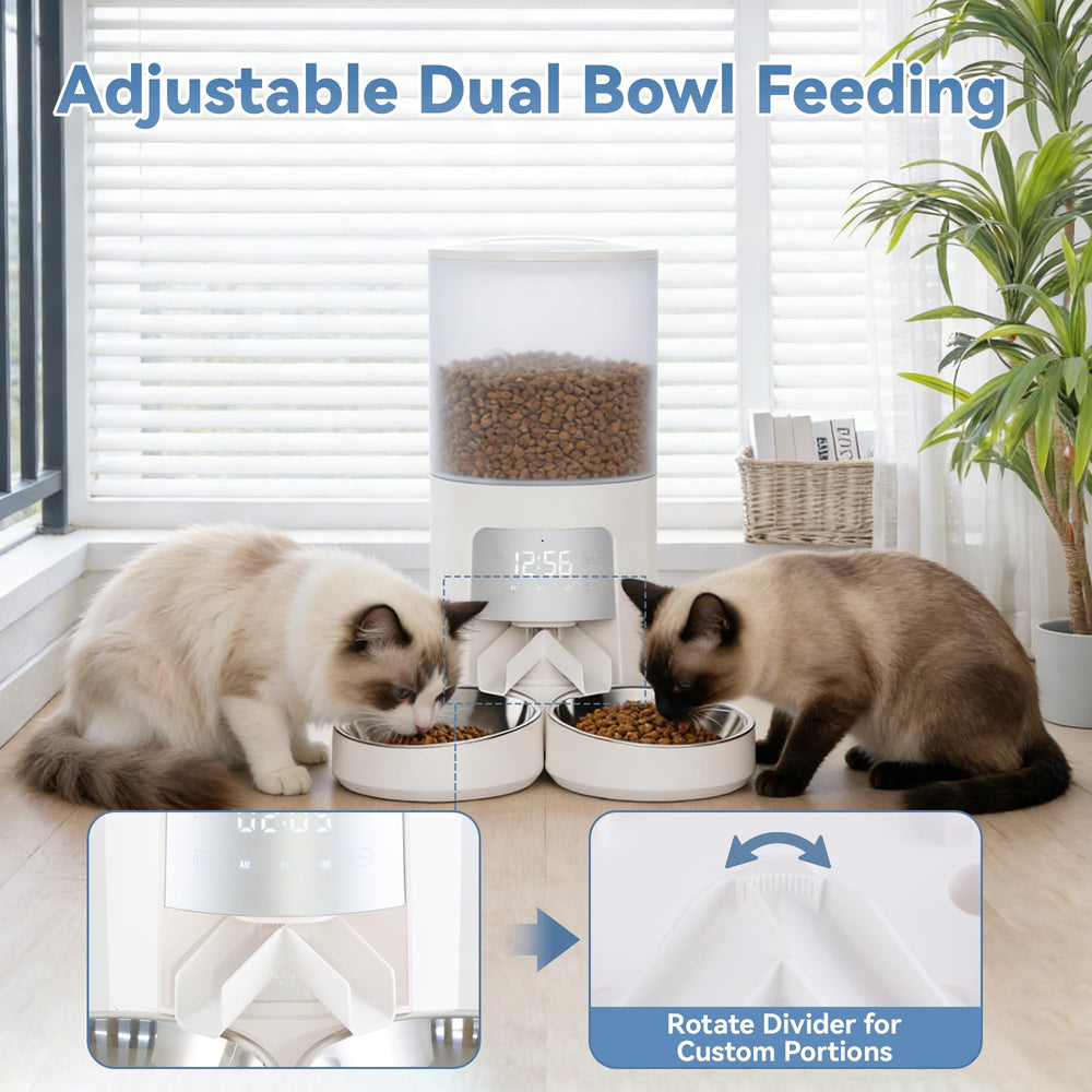 DUMOS réservoir 6L gardant croquettes sèches et fraîches plus longtemps