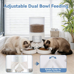 DUMOS réservoir 6L gardant croquettes sèches et fraîches plus longtemps