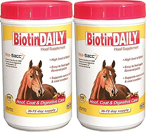 Durvet Biotin emballage avant montrant le produit et bénéfice nutritionnel pour sabots