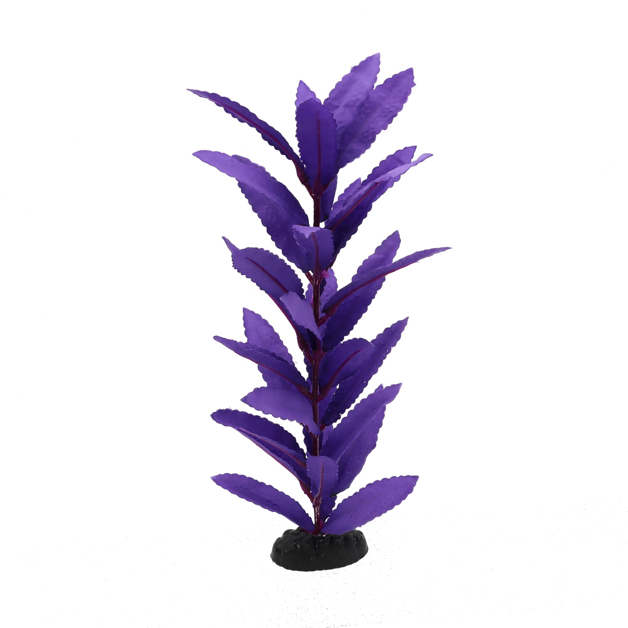 DVHEY comparaison d'échelle montrant hauteur 30 cm pour aquarium
