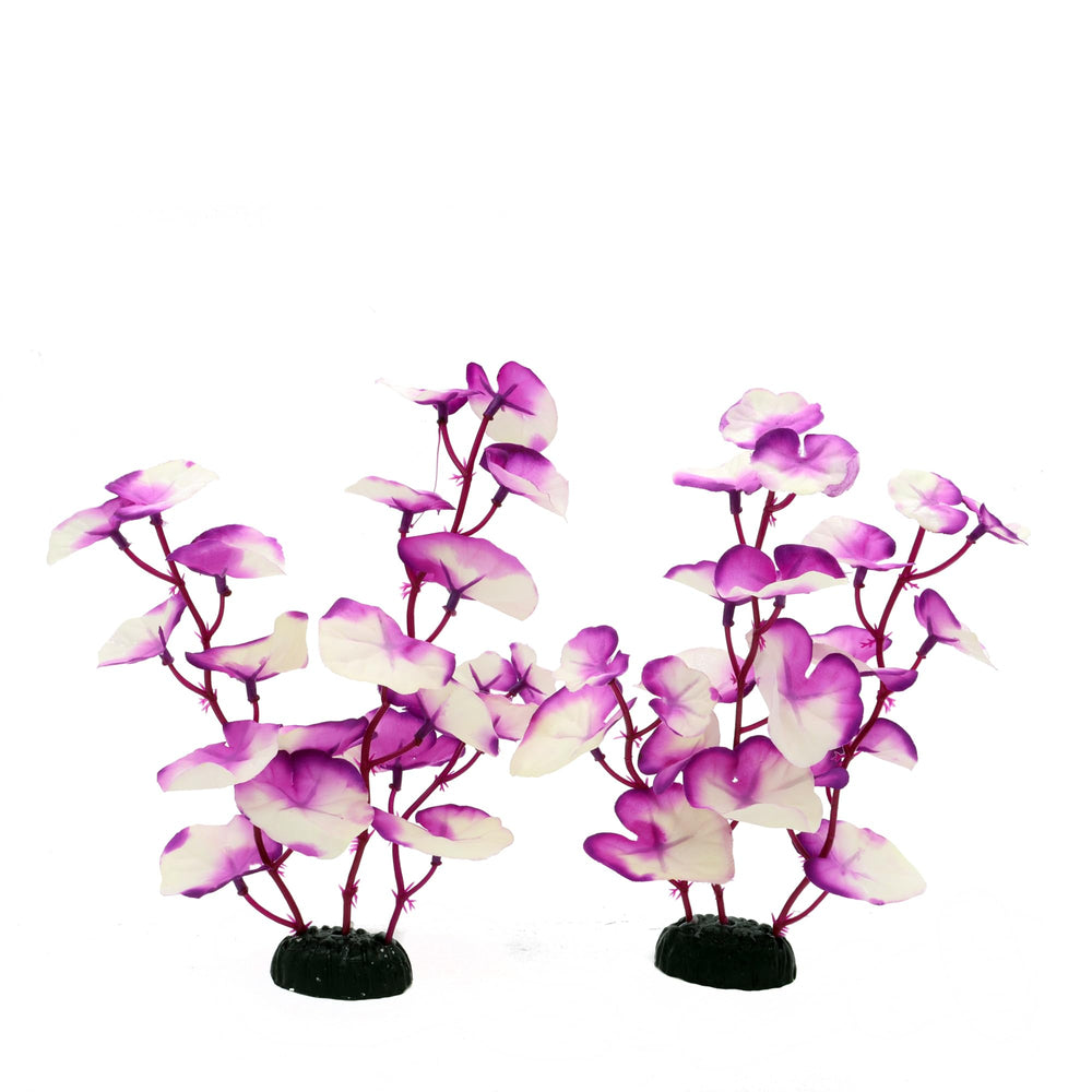 DVHEY étiquette couleur violet et blanc attire le regard décoratif