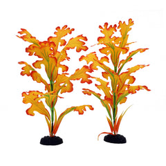 DVHEY vue frontale du pack de deux plantes, décor immédiat
