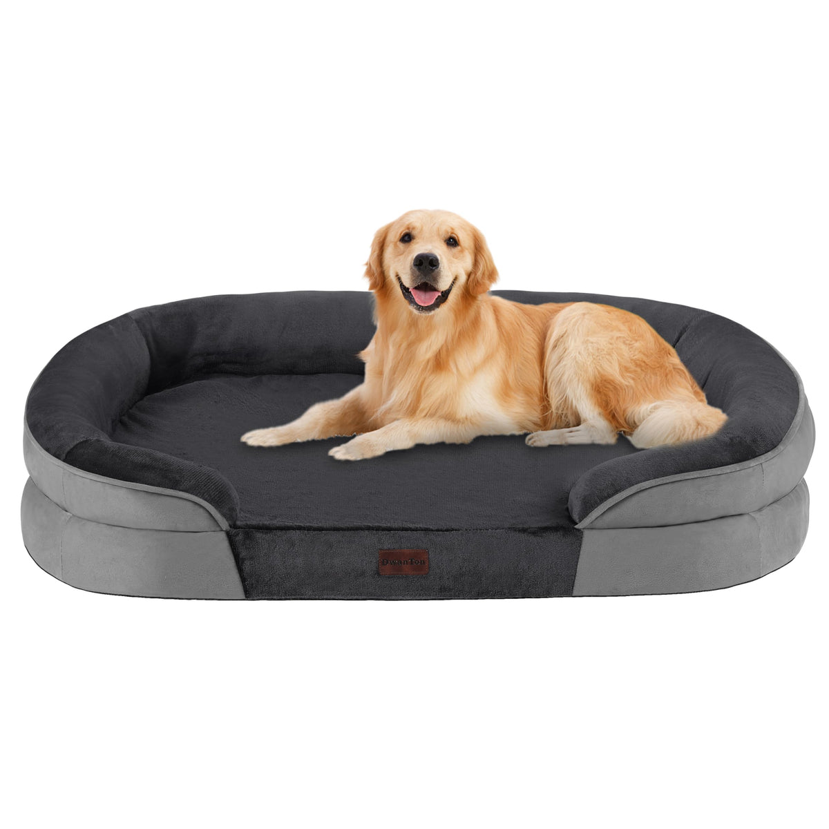 Dwanton vue de face du lit 42 pouces montrant confort et structure
