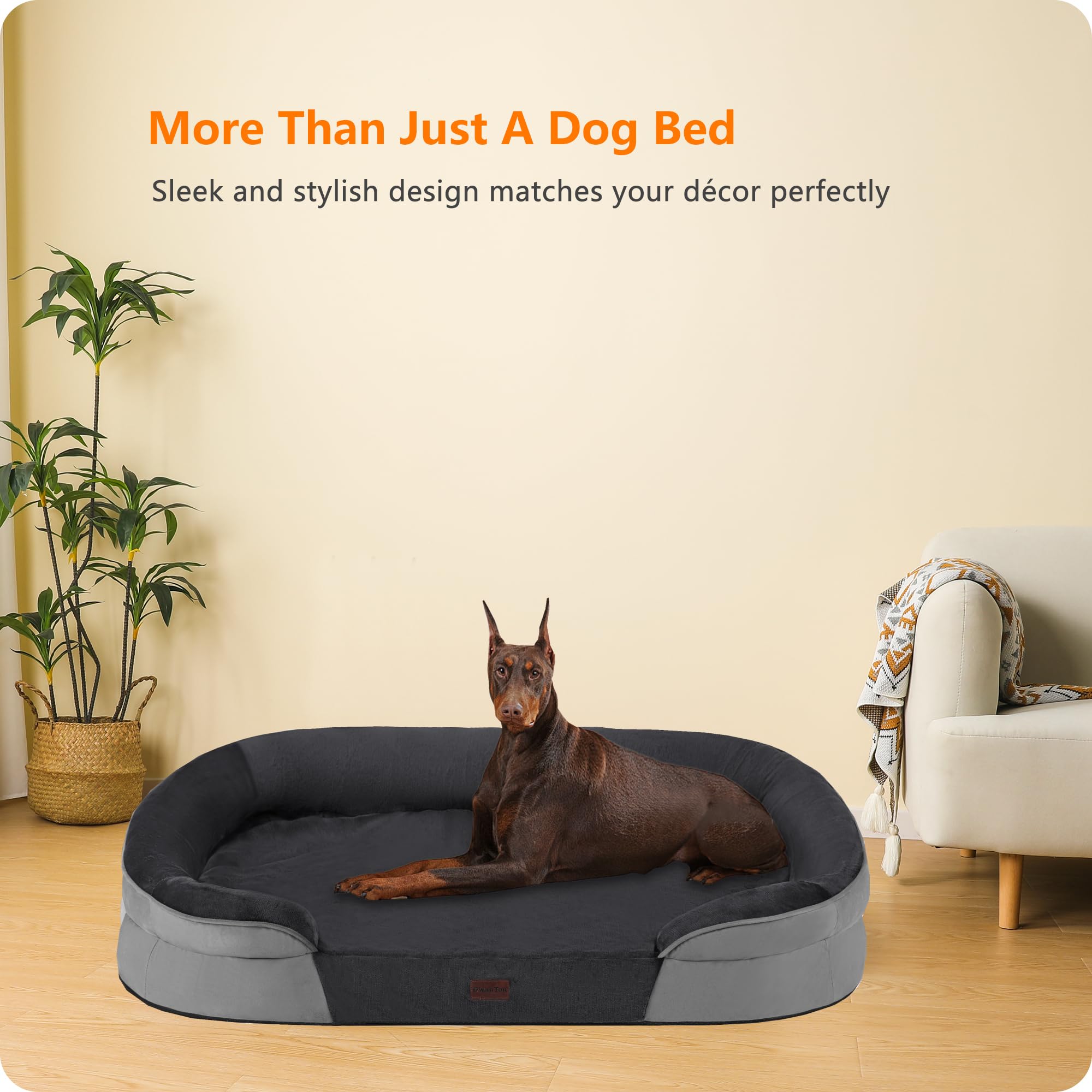 Dwanton scène salon style vie quotidienne montrant chien relaxé