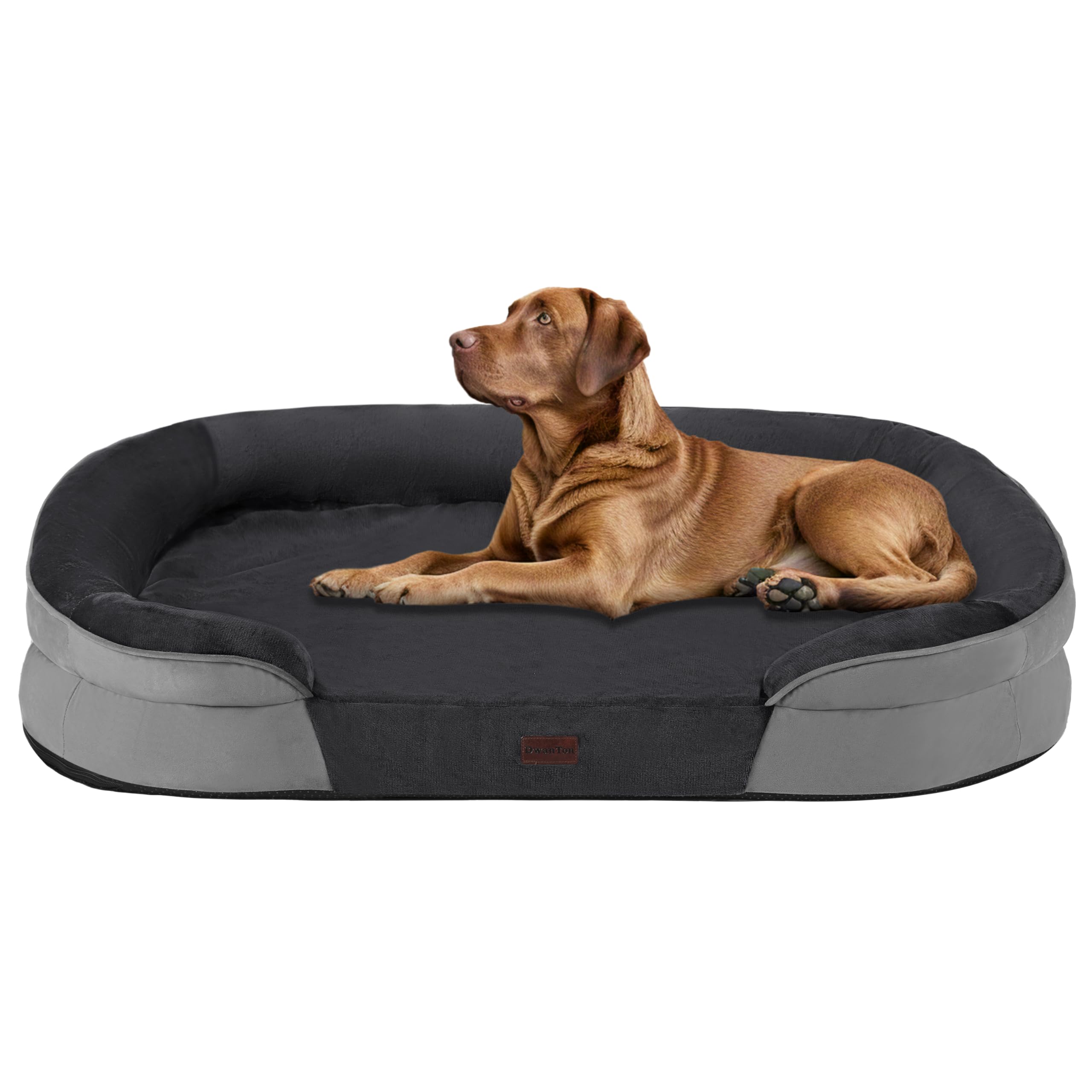 Dwanton sofa X-Large vue avant montrant confort et soutien immédiat