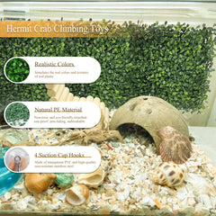 Dxmimer tapis installé dans terrarium avec bernard-l'ermite, enrichit l'espace