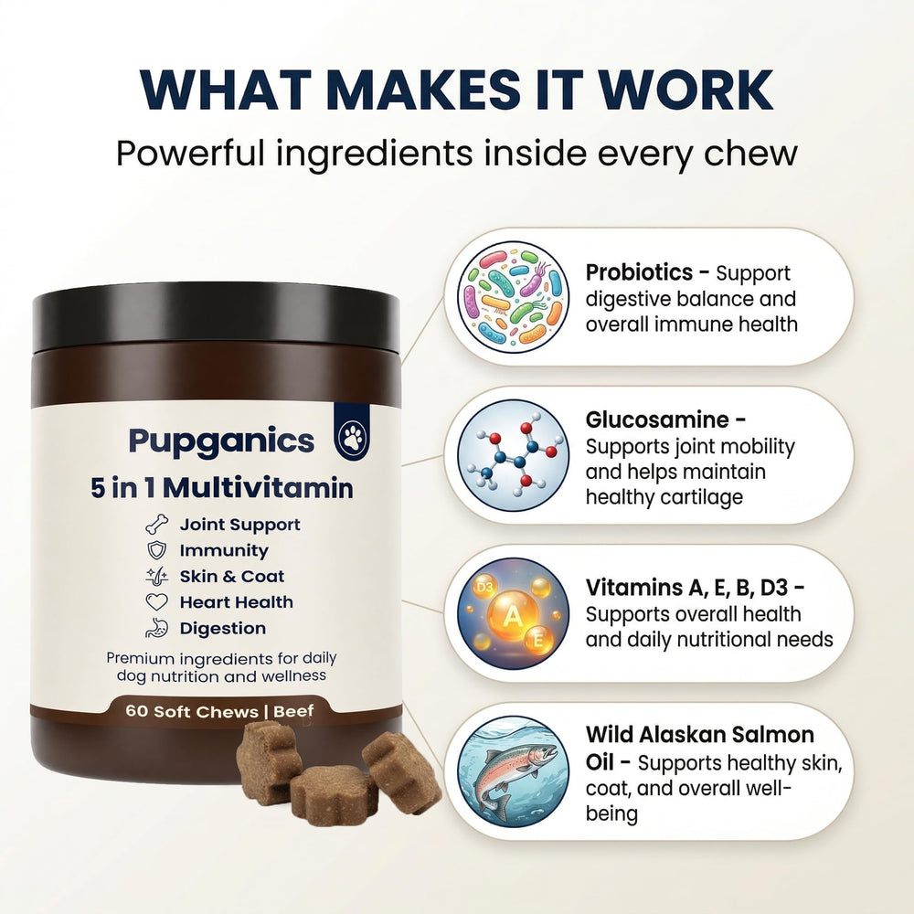 DYDUON Pupganics mise en valeur des ingrédients glucosamine et probiotiques pour le bien-être articulaire
