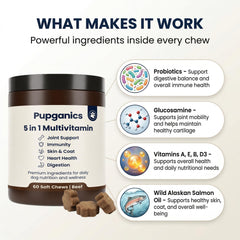 DYDUON Pupganics mise en valeur des ingrédients glucosamine et probiotiques pour le bien-être articulaire