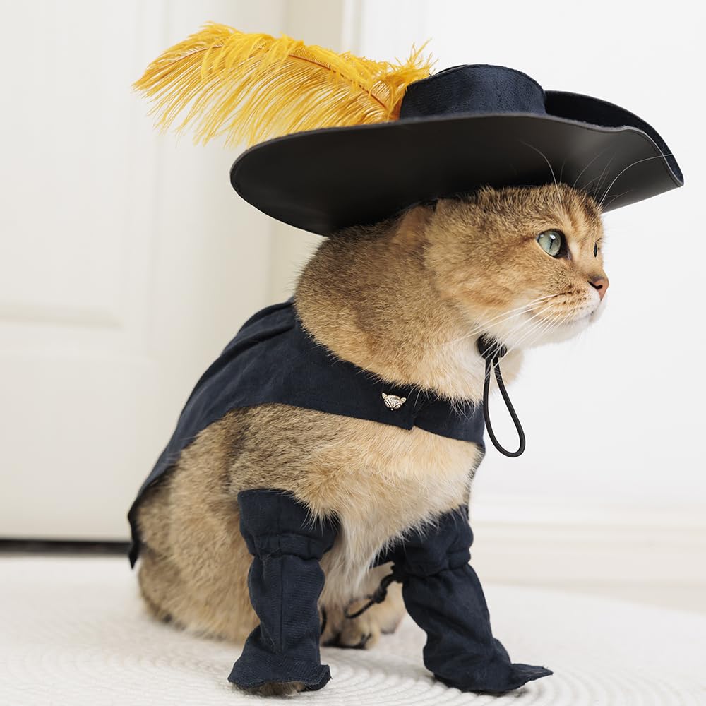 DZTYG chapeau porté par un chat pour photos mignonnes