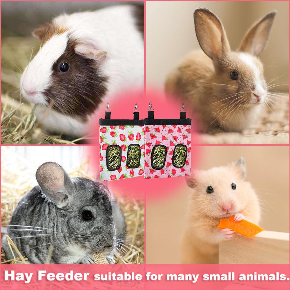 DZWLKJ motifs pastèque et fraise attrayants pour une cage animée